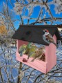 InCollage_20260128_143512078.jpg