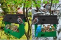 InCollage_20260127_204358863.jpg