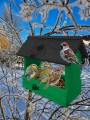 InCollage_20260128_143320034.jpg