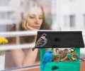 InCollage_20260127_202712055.jpg