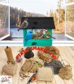 InCollage_20260128_142126141.jpg
