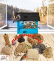 InCollage_20260128_142108462.jpg