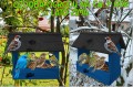 InCollage_20260127_204212405.jpg