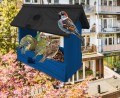 InCollage_20260128_121154001.jpg