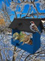 InCollage_20260128_143155579.jpg