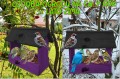 InCollage_20260127_204145684.jpg
