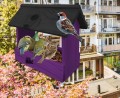 InCollage_20260128_121126215.jpg
