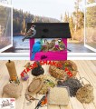 InCollage_20260128_141934495.jpg