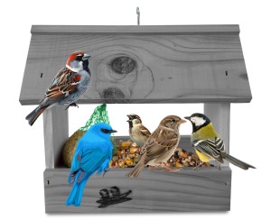 Budka karmnik z drewna litego na ziarno dla ptaków wróble gile dzięcioły mały idealny na balkon na parapet K204a SNP SN