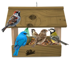 Karmnik budka z drewna litego na ziarno na słonecznik dla dzikich ptaków eko dekoracja do ogrodu K204a N DEB