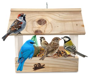 Karmnik budka z drewna litego na ziarno na słonecznik dla dzikich ptaków eko dekoracja do ogrodu K204a BI N