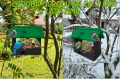 InCollage_20260224_190448106.png