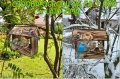 InCollage_20260417_155340545.jpg