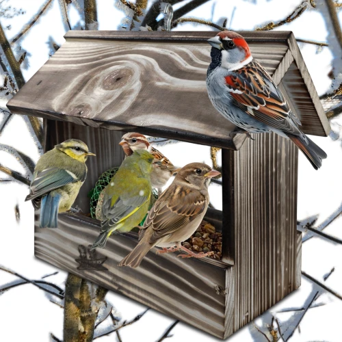 InCollage_20260415_170937740.jpg