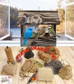InCollage_20260417_165644018.jpg