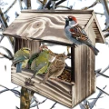 InCollage_20260415_171011567.jpg