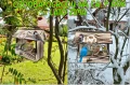 InCollage_20260417_155314965.jpg