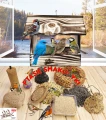 InCollage_20260417_165742732.jpg
