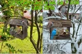 InCollage_20260417_155203201.jpg