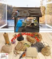 InCollage_20260417_165624678.jpg