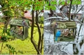 InCollage_20260417_155138327.jpg
