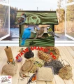InCollage_20260417_165602253.jpg