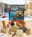 InCollage_20260417_165438527.jpg
