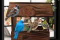 InCollage_20260417_145444063.jpg