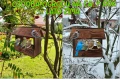 InCollage_20260417_154934233.jpg