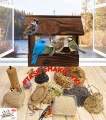 InCollage_20260417_165418249.jpg