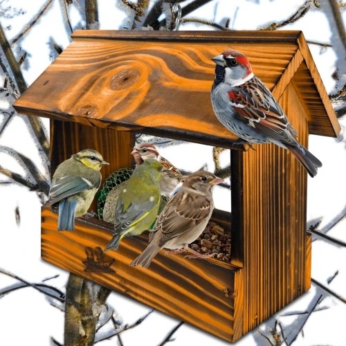 InCollage_20260415_170428817.jpg