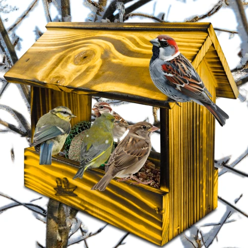 InCollage_20260415_170401516.jpg