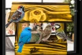 InCollage_20260417_115257172.jpg