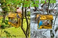 InCollage_20260417_154756731.jpg