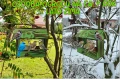InCollage_20260417_154737573.jpg