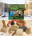 InCollage_20260417_165217925.jpg