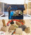InCollage_20260417_165010844.jpg