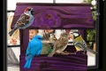 InCollage_20260417_114852293.jpg
