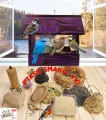 InCollage_20260417_164947700.jpg