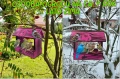 InCollage_20260417_154329677.jpg