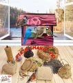 InCollage_20260417_164903950.jpg