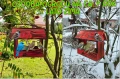 InCollage_20260417_154242377.jpg