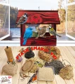 InCollage_20260417_164842172.jpg