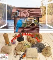 InCollage_20260417_164817519.jpg