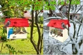InCollage_20260715_171828552.jpg
