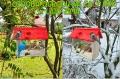 InCollage_20260715_165729819.jpg