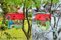 InCollage_20260715_165643404.jpg