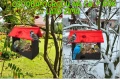 InCollage_20260715_165622095.jpg