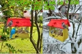 InCollage_20260715_164922879.jpg