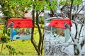 InCollage_20260715_164749190.jpg
